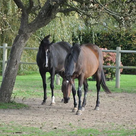 Vakantiehuis Clos Du Manoir Vinnemerville